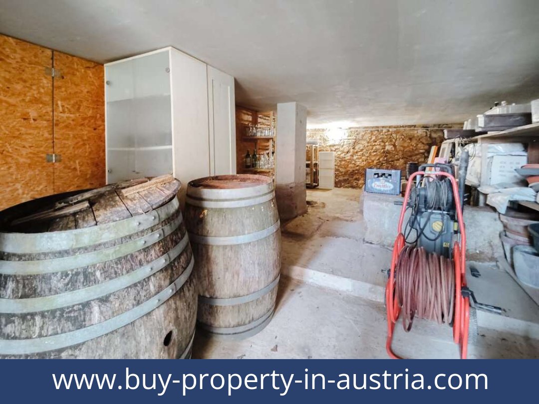 buy-property-in-austria-kirchberg an der wild-3811-20250916214810-0025901047.jpg